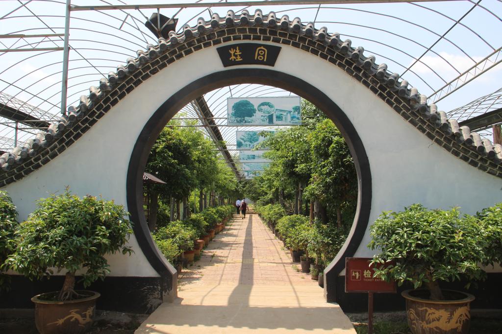 桂花园景区